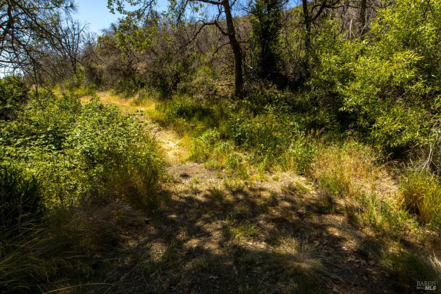 Pine Flat Road, Healdsburg, California image 41