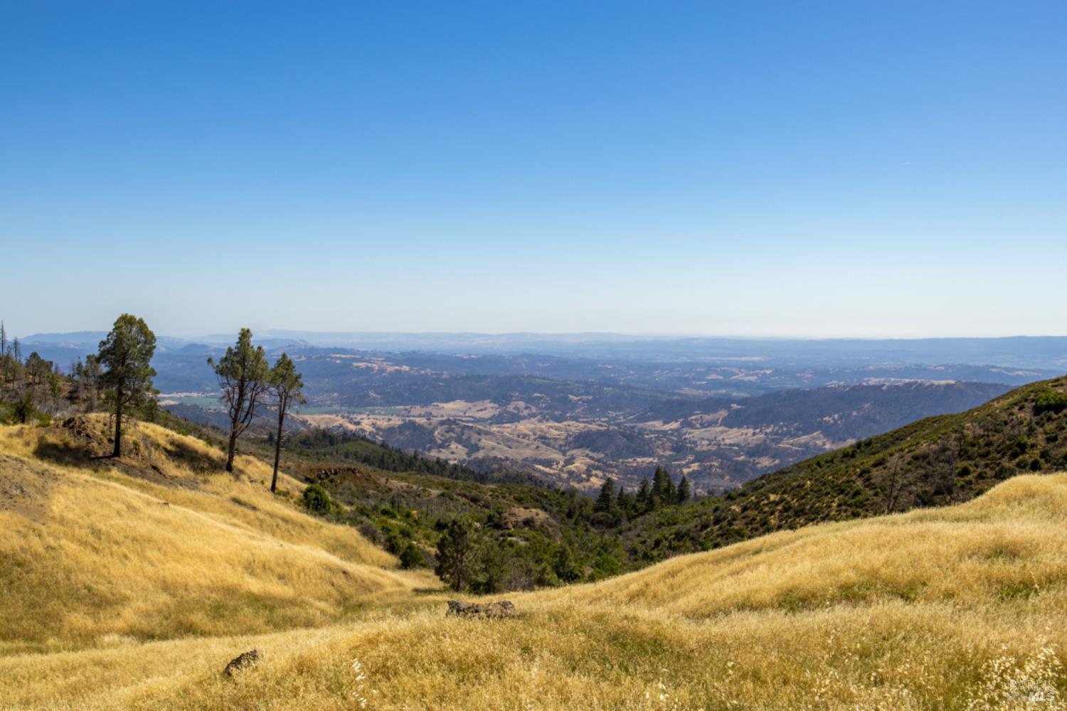 Pine Flat Road, Healdsburg, California image 26