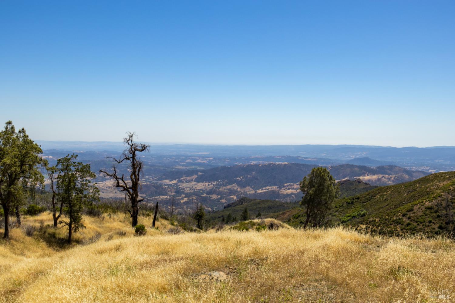 Pine Flat Road, Healdsburg, California image 37