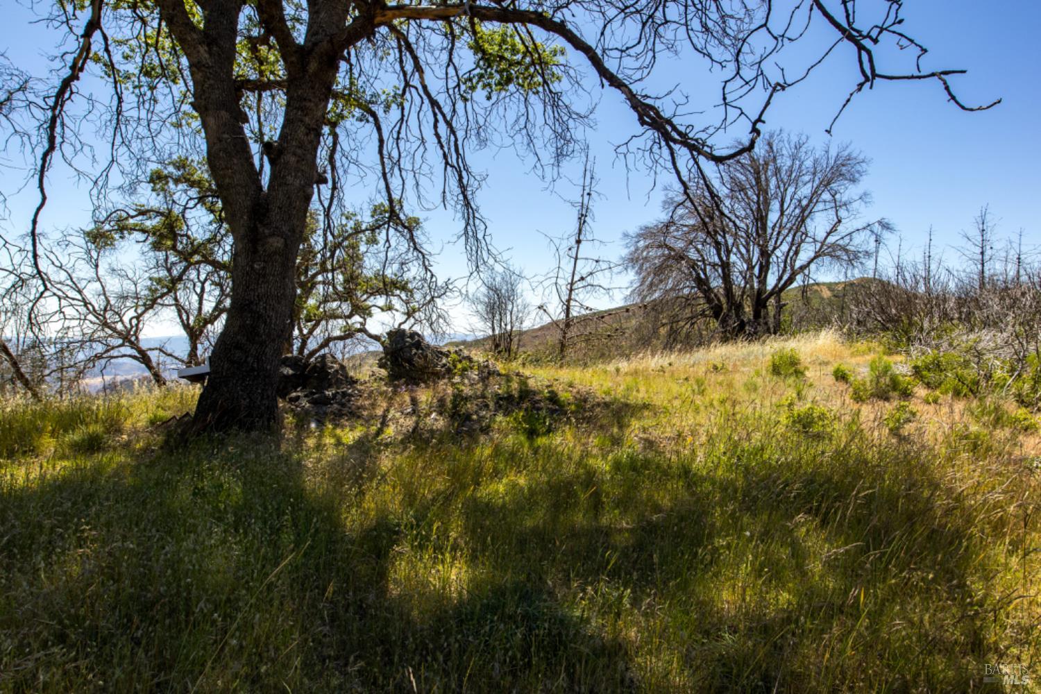Pine Flat Road, Healdsburg, California image 45