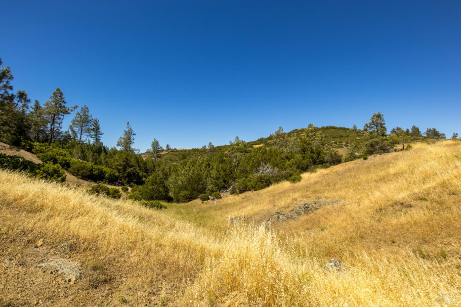 Pine Flat Road, Healdsburg, California image 33
