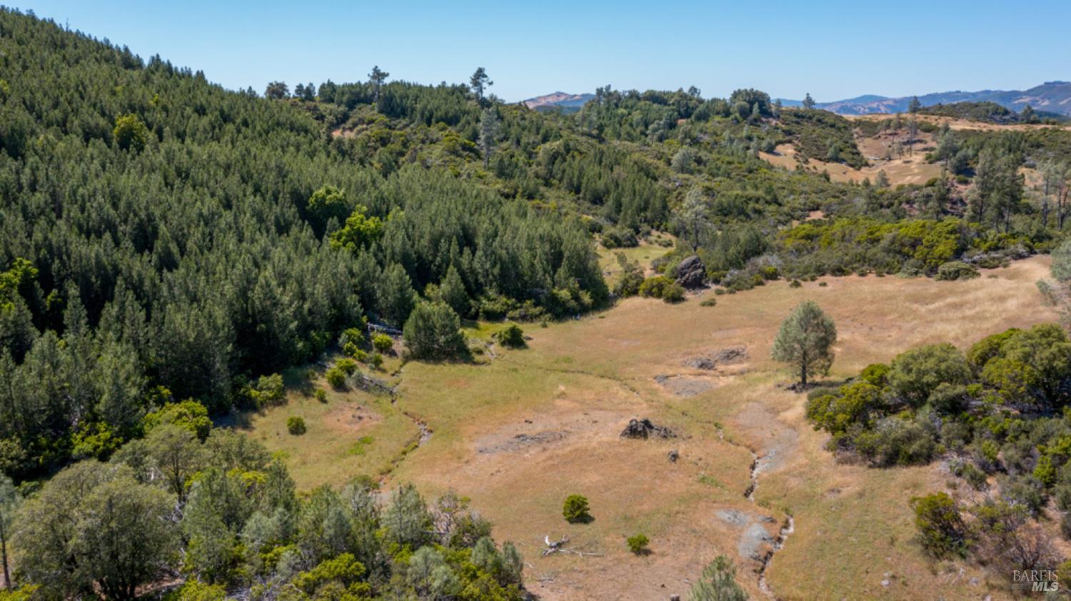 Pine Flat Road, Healdsburg, California image 8
