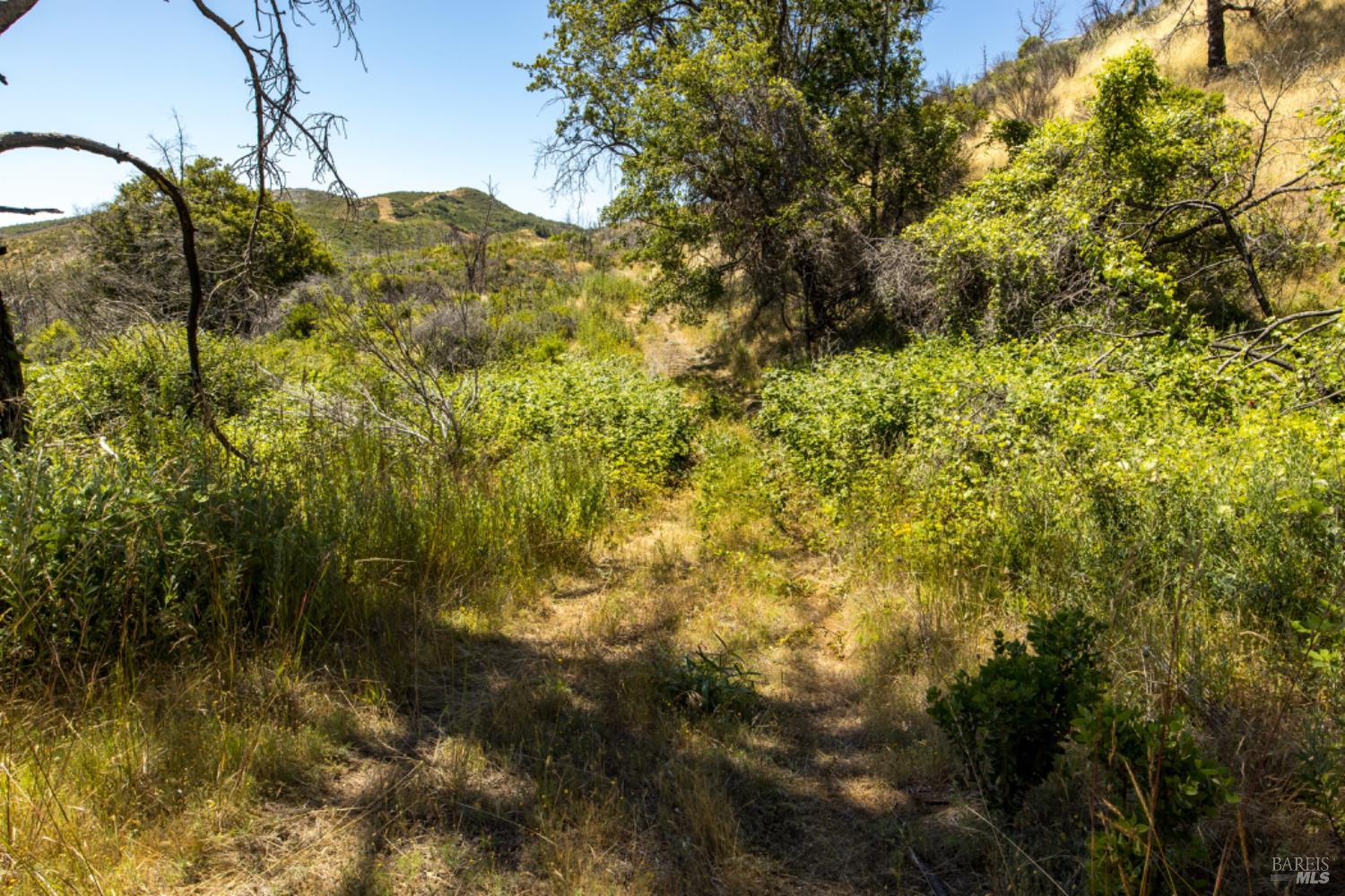 Pine Flat Road, Healdsburg, California image 50