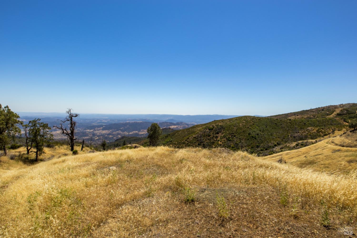 Pine Flat Road, Healdsburg, California image 36