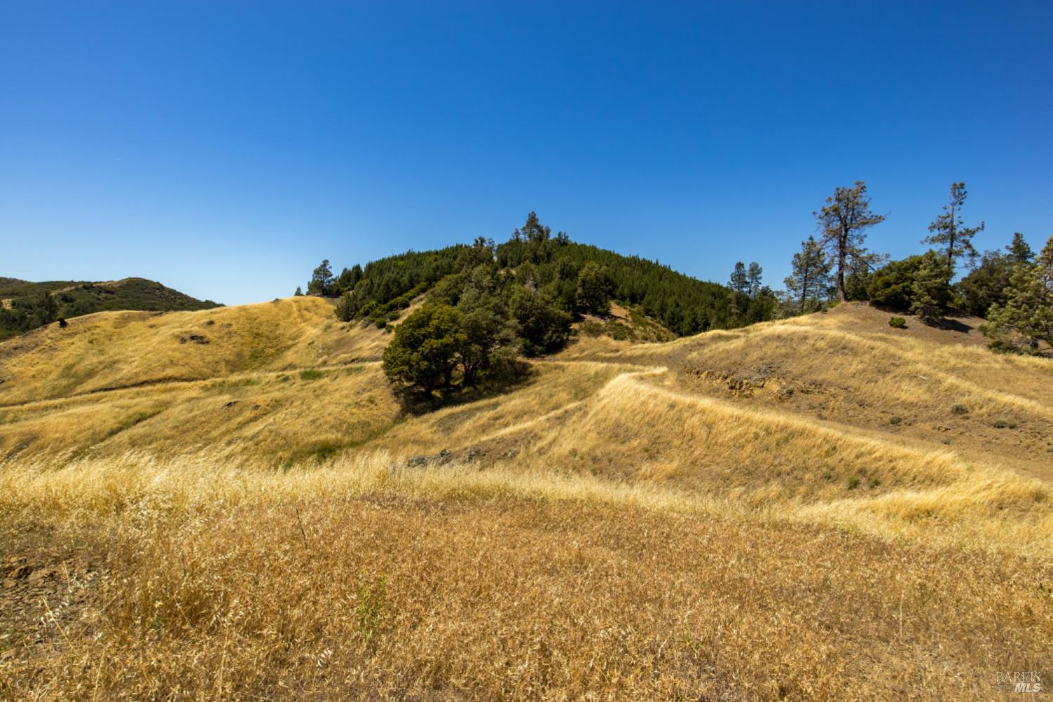 Pine Flat Road, Healdsburg, California image 35