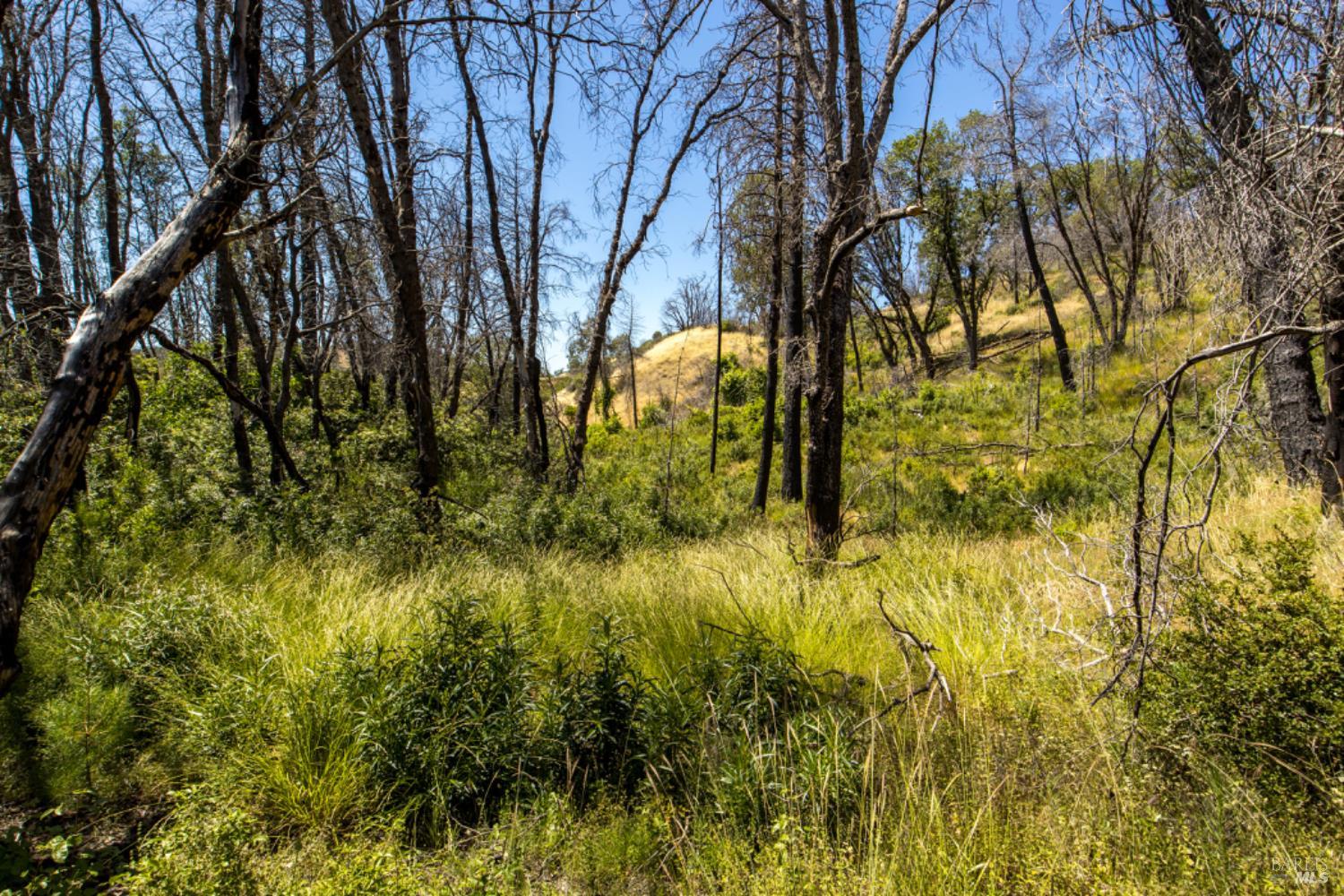 Detail Gallery Image 51 of 59 For 0 Pine Flat Rd, Healdsburg,  CA 94515 - – Beds | – Baths