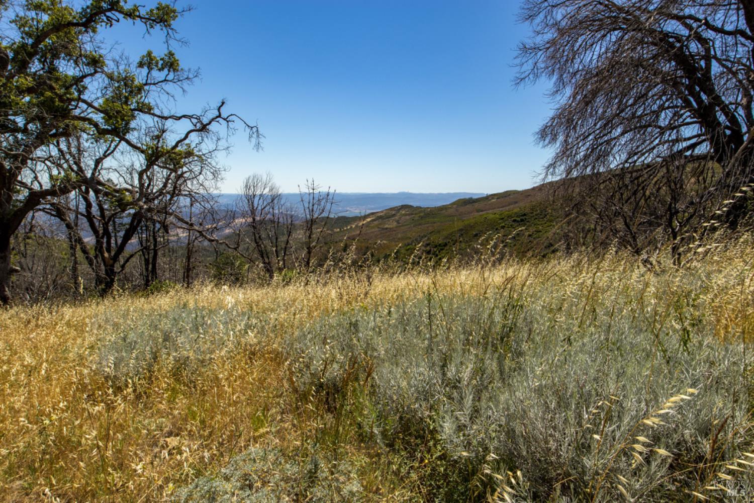Pine Flat Road, Healdsburg, California image 47