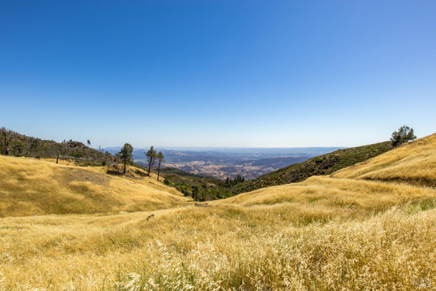 Pine Flat Road, Healdsburg, California image 25