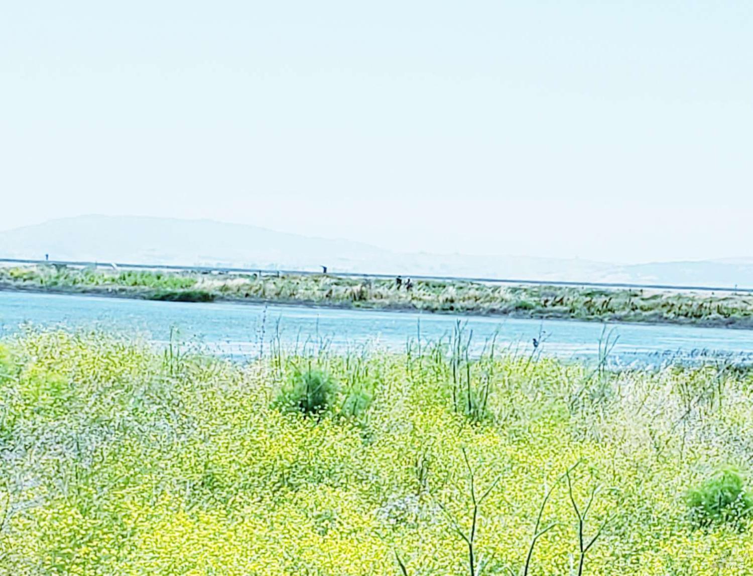 Wetlands Edge Road, American Canyon, California image 25