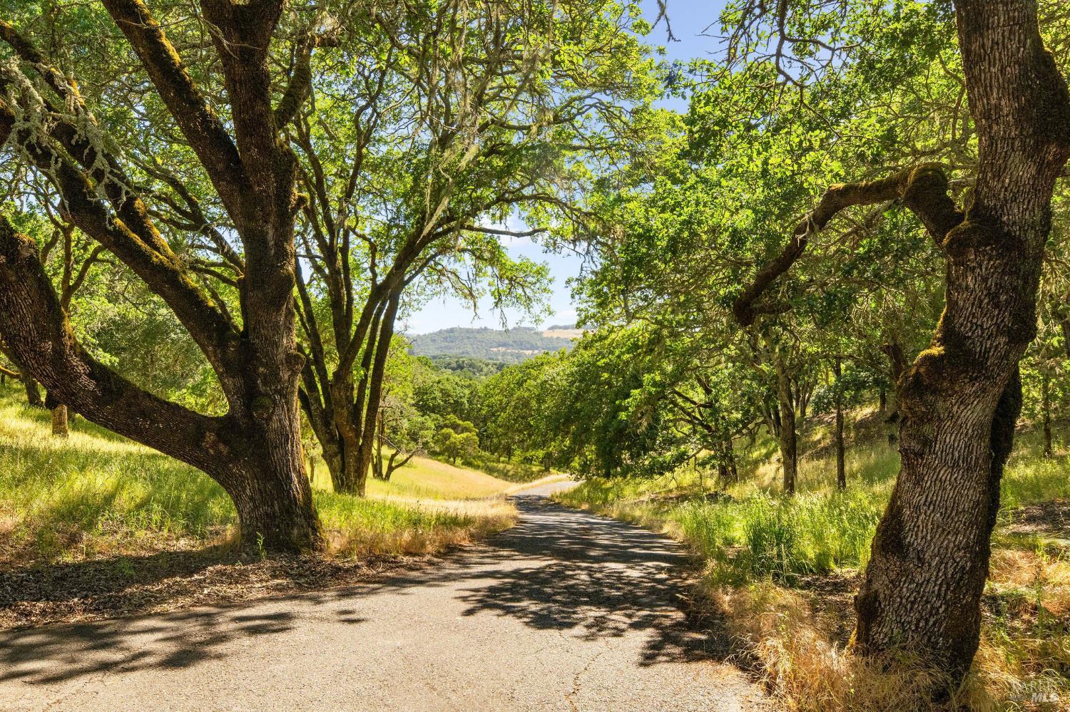 Detail Gallery Image 40 of 45 For 9359 Ladera Rd, Glen Ellen,  CA 95442 - 4 Beds | 5/1 Baths