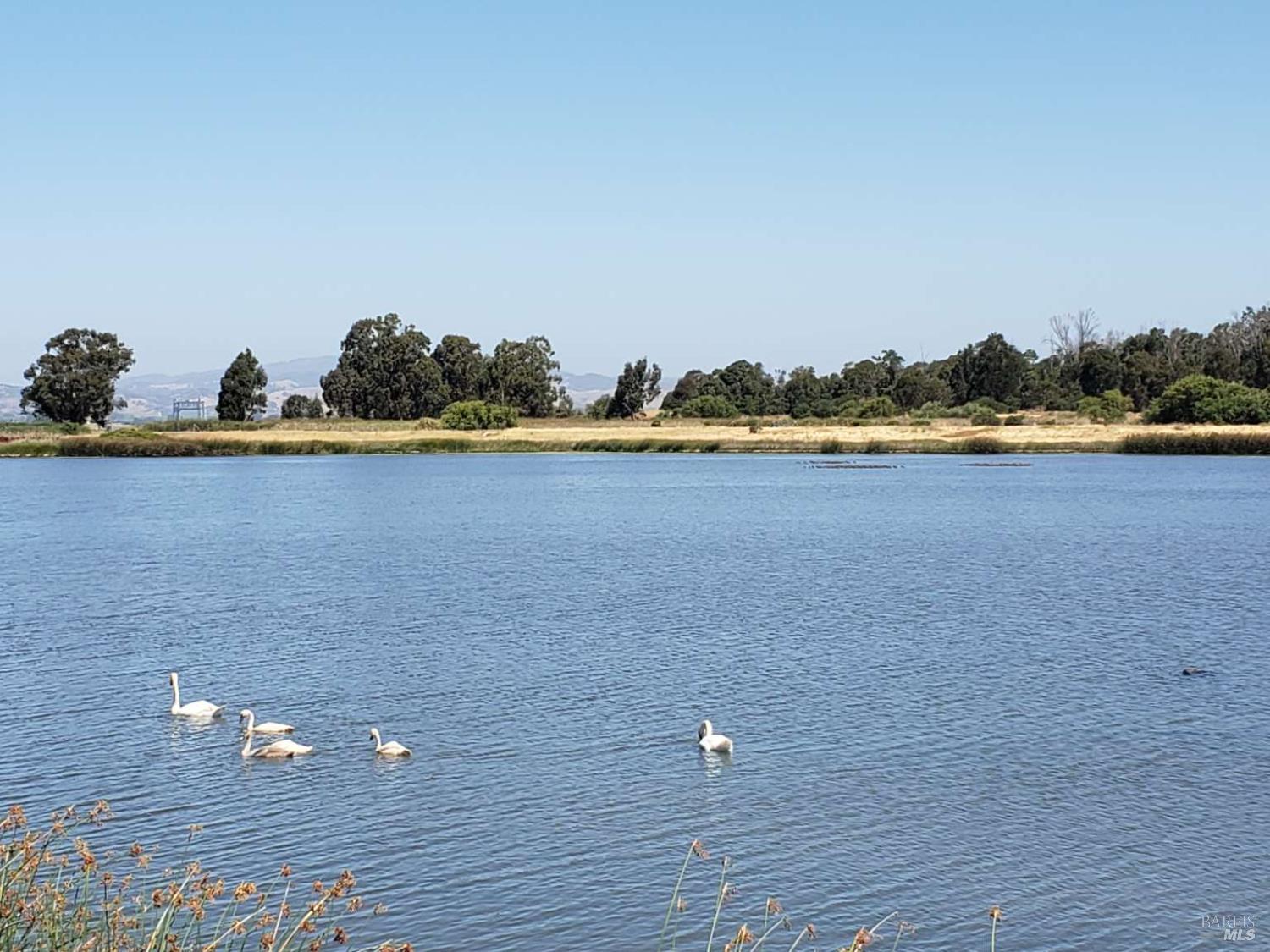 Wetlands Edge Road, American Canyon, California image 33
