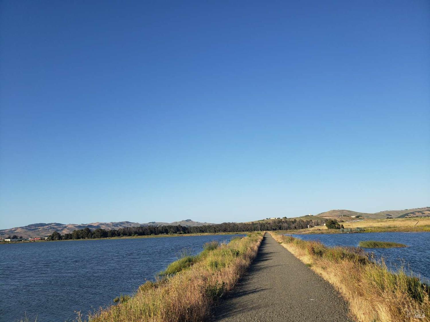 Wetlands Edge Road, American Canyon, California image 28
