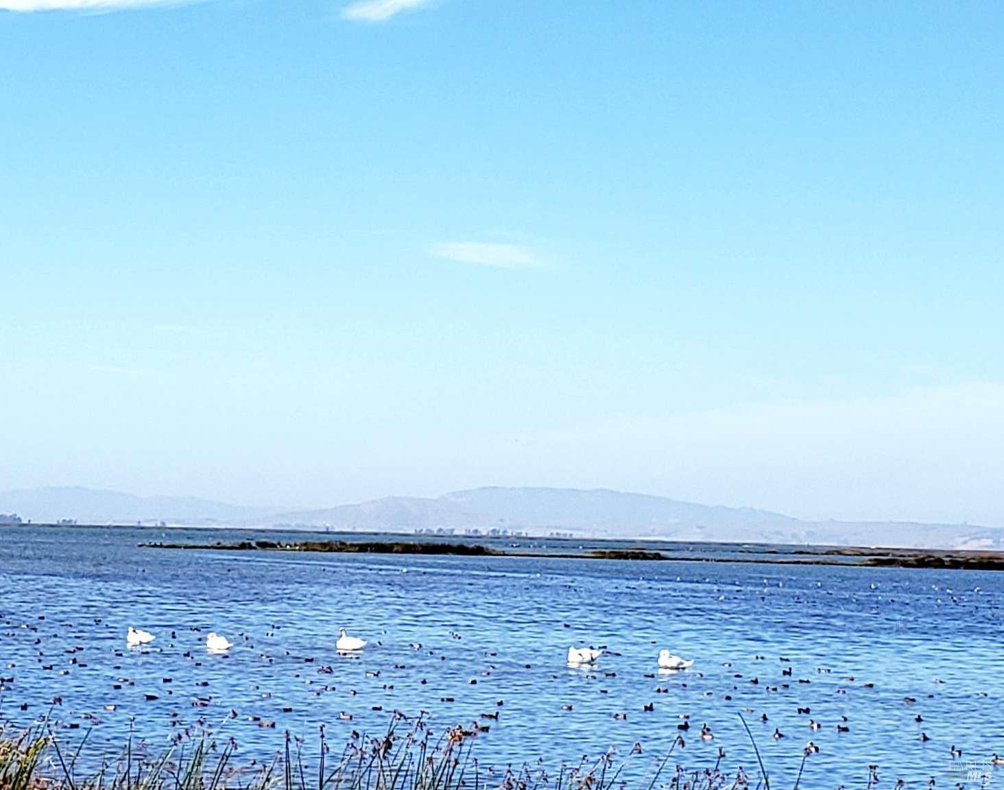 Wetlands Edge Road, American Canyon, California image 3
