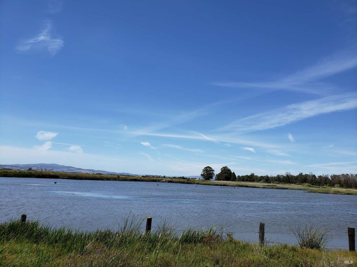 Wetlands Edge Road, American Canyon, California image 5