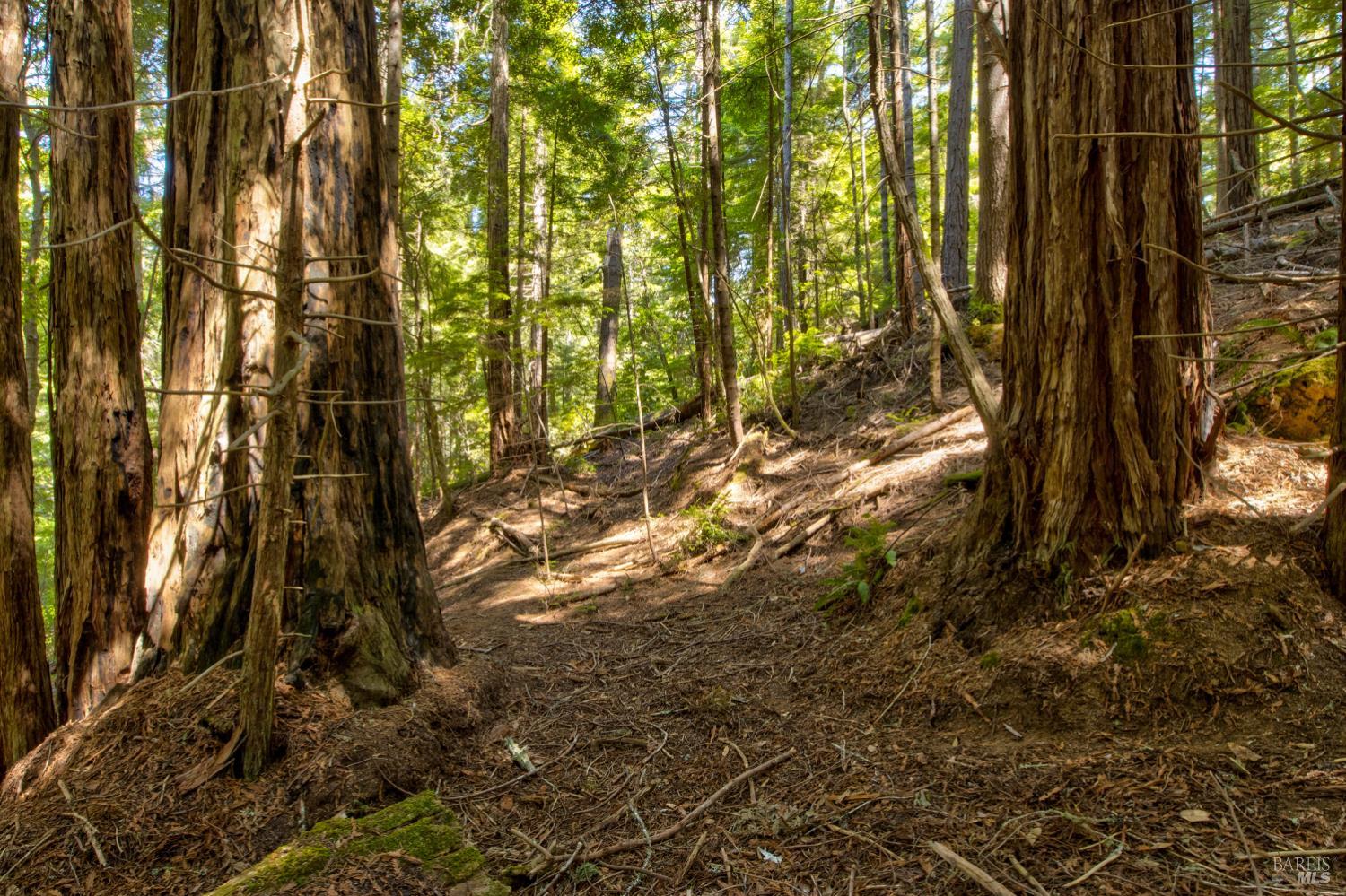 Frog Pond Road, Little River, California image 16