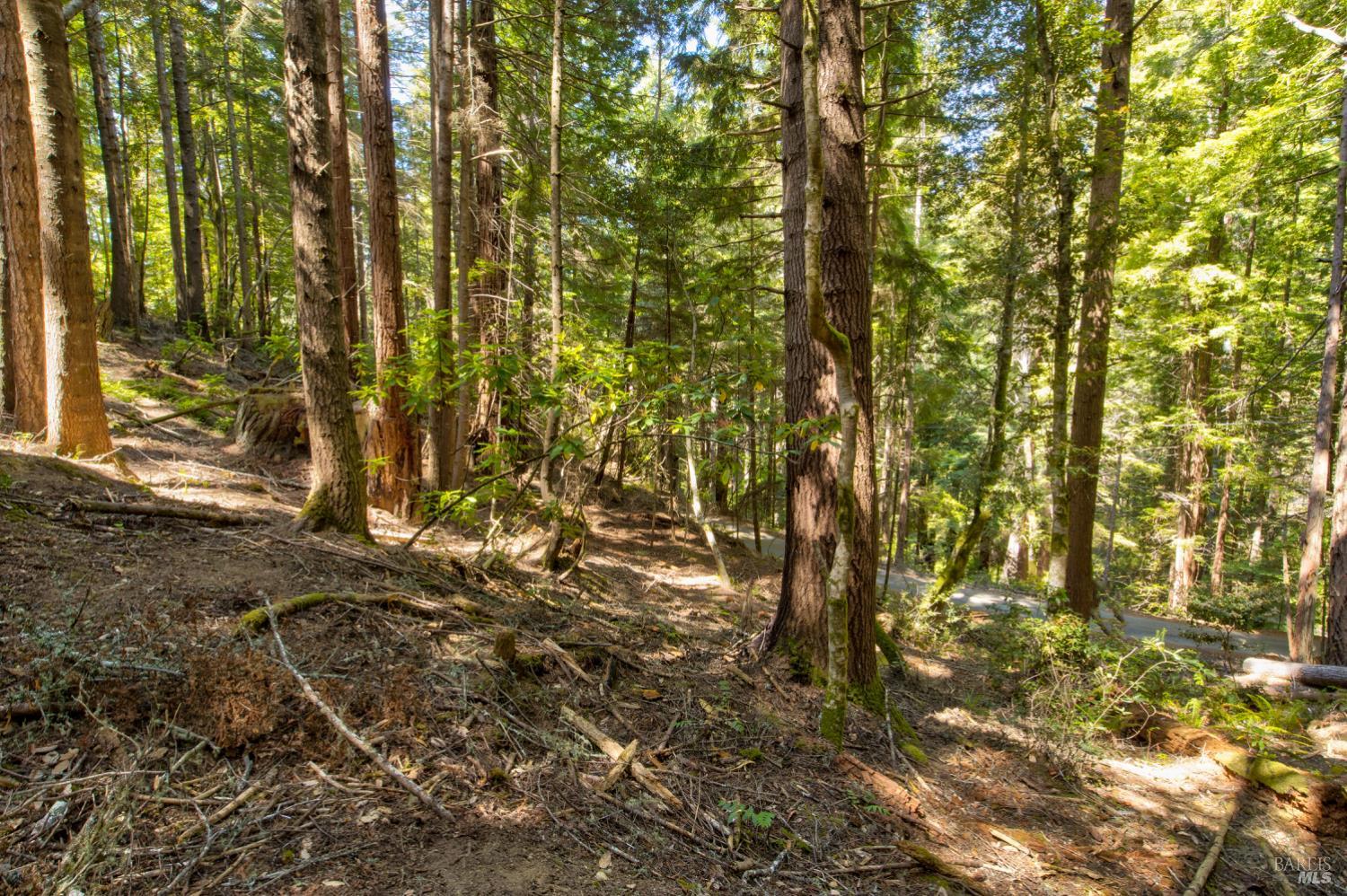 Frog Pond Road, Little River, California image 12