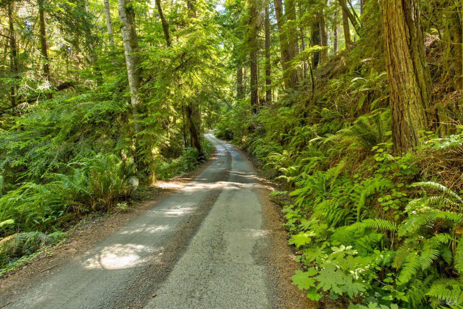 Frog Pond Road, Little River, California image 2