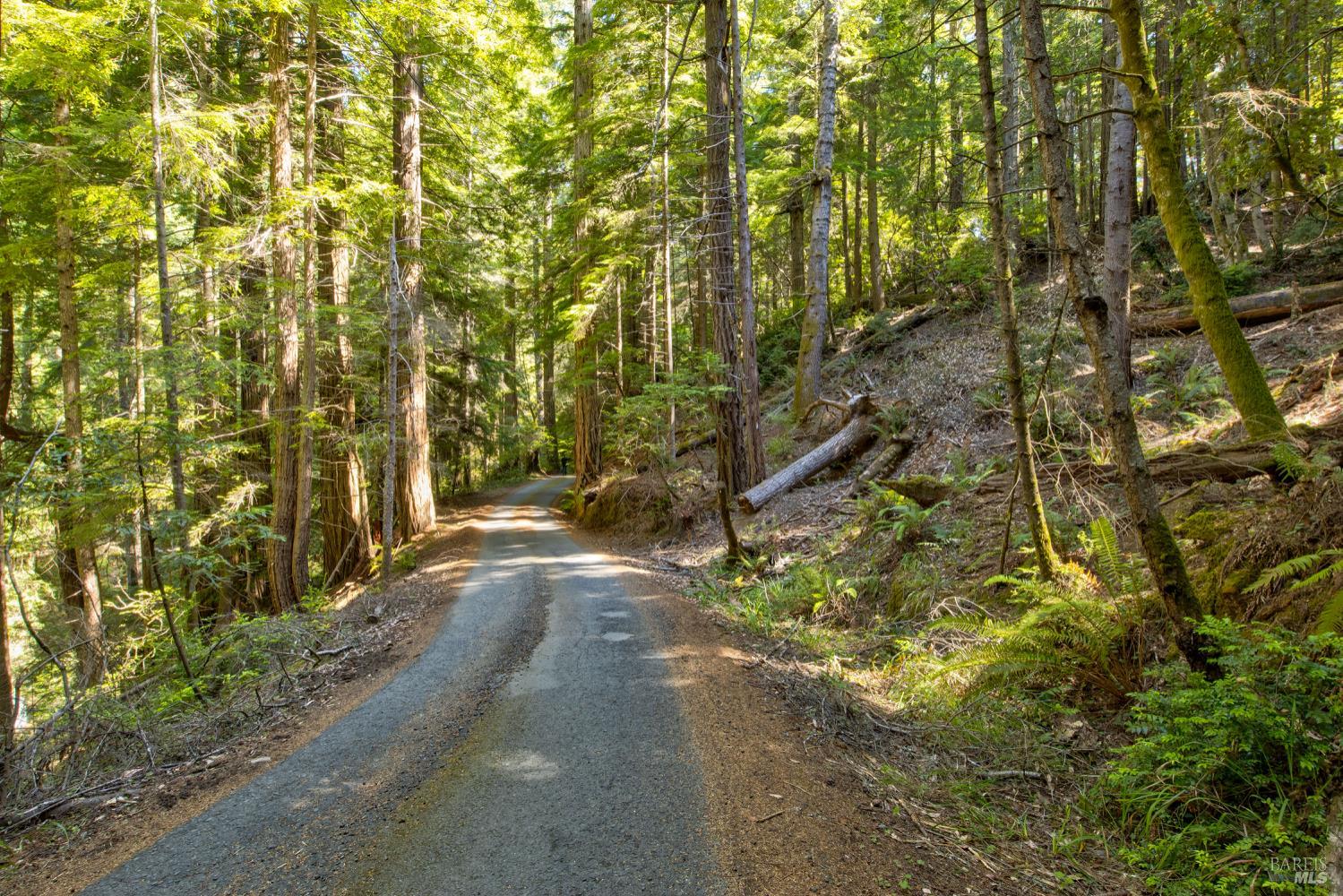 Frog Pond Road, Little River, California image 5