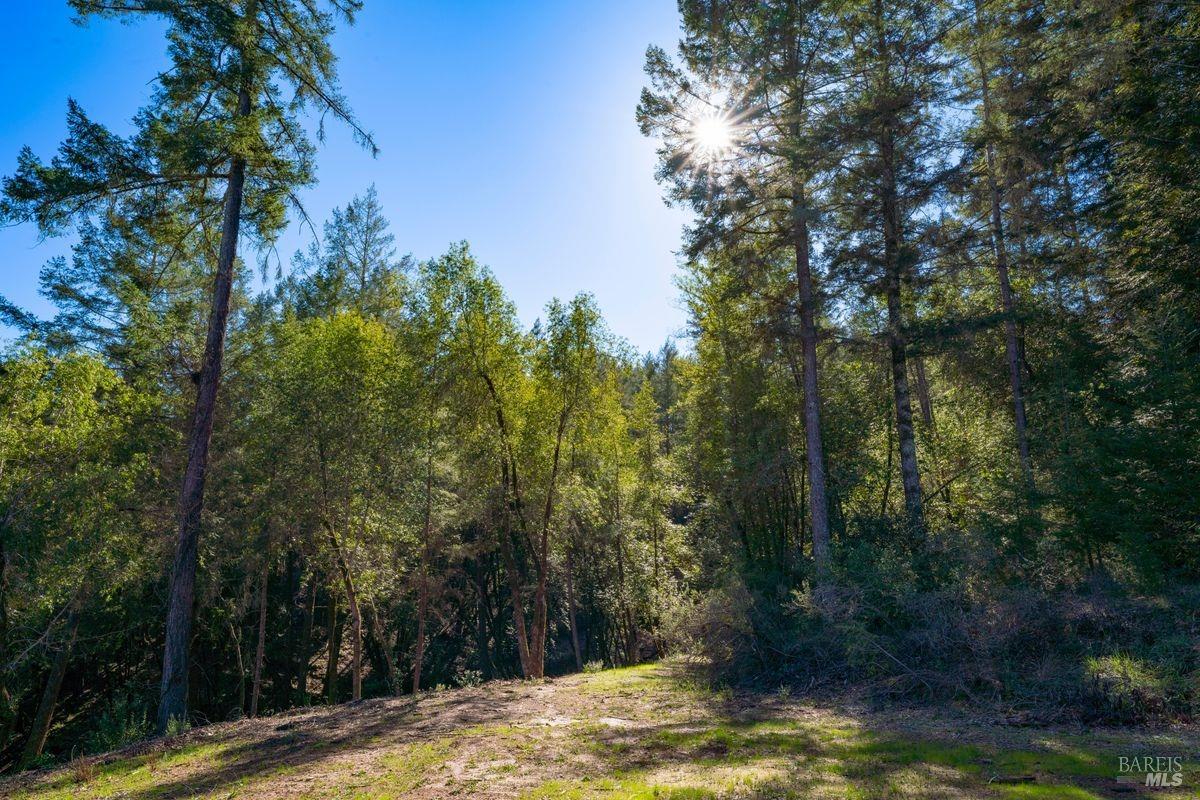 Detail Gallery Image 42 of 43 For 3210 W Dry Creek Rd, Healdsburg,  CA 95448 - – Beds | – Baths
