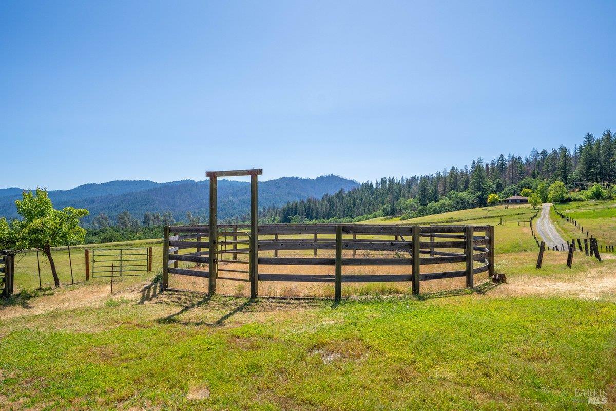 Detail Gallery Image 27 of 57 For 125 Cedar Gulch Rd, Hayfork,  CA 96041 - 2 Beds | 2 Baths
