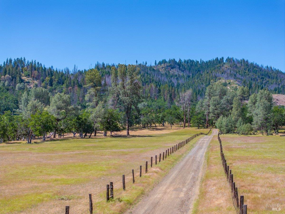 Detail Gallery Image 12 of 57 For 125 Cedar Gulch Rd, Hayfork,  CA 96041 - 2 Beds | 2 Baths