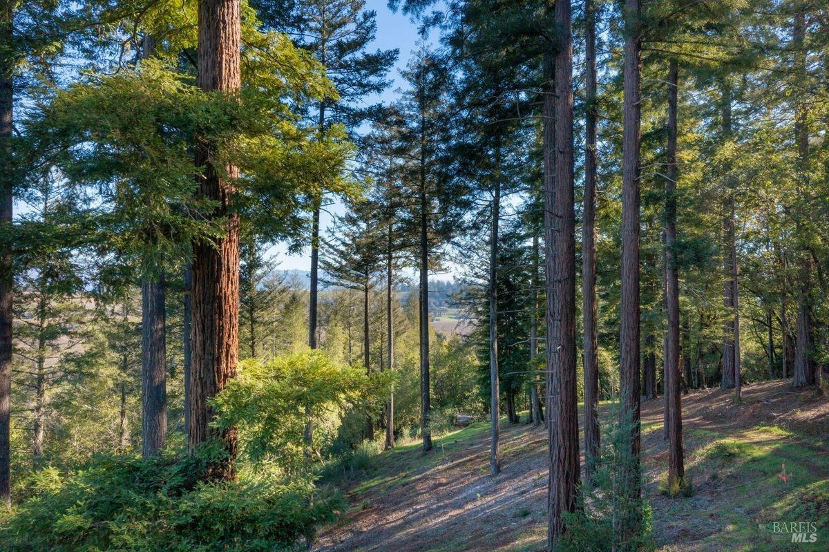 Detail Gallery Image 11 of 43 For 3210 W Dry Creek Rd, Healdsburg,  CA 95448 - – Beds | – Baths