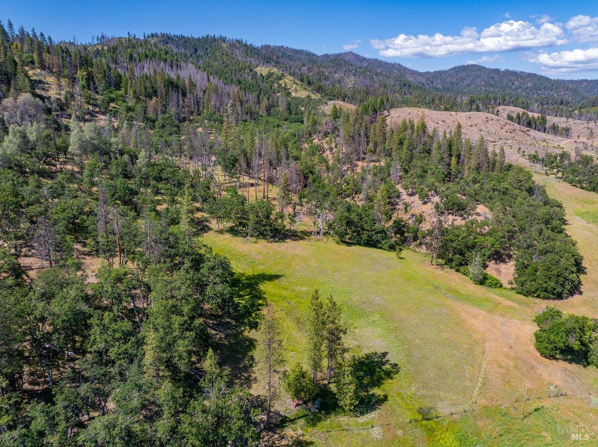 Detail Gallery Image 21 of 57 For 125 Cedar Gulch Rd, Hayfork,  CA 96041 - 2 Beds | 2 Baths