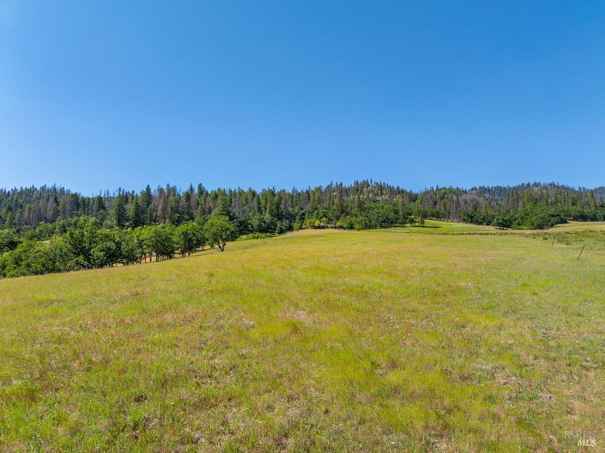 Detail Gallery Image 22 of 57 For 125 Cedar Gulch Rd, Hayfork,  CA 96041 - 2 Beds | 2 Baths