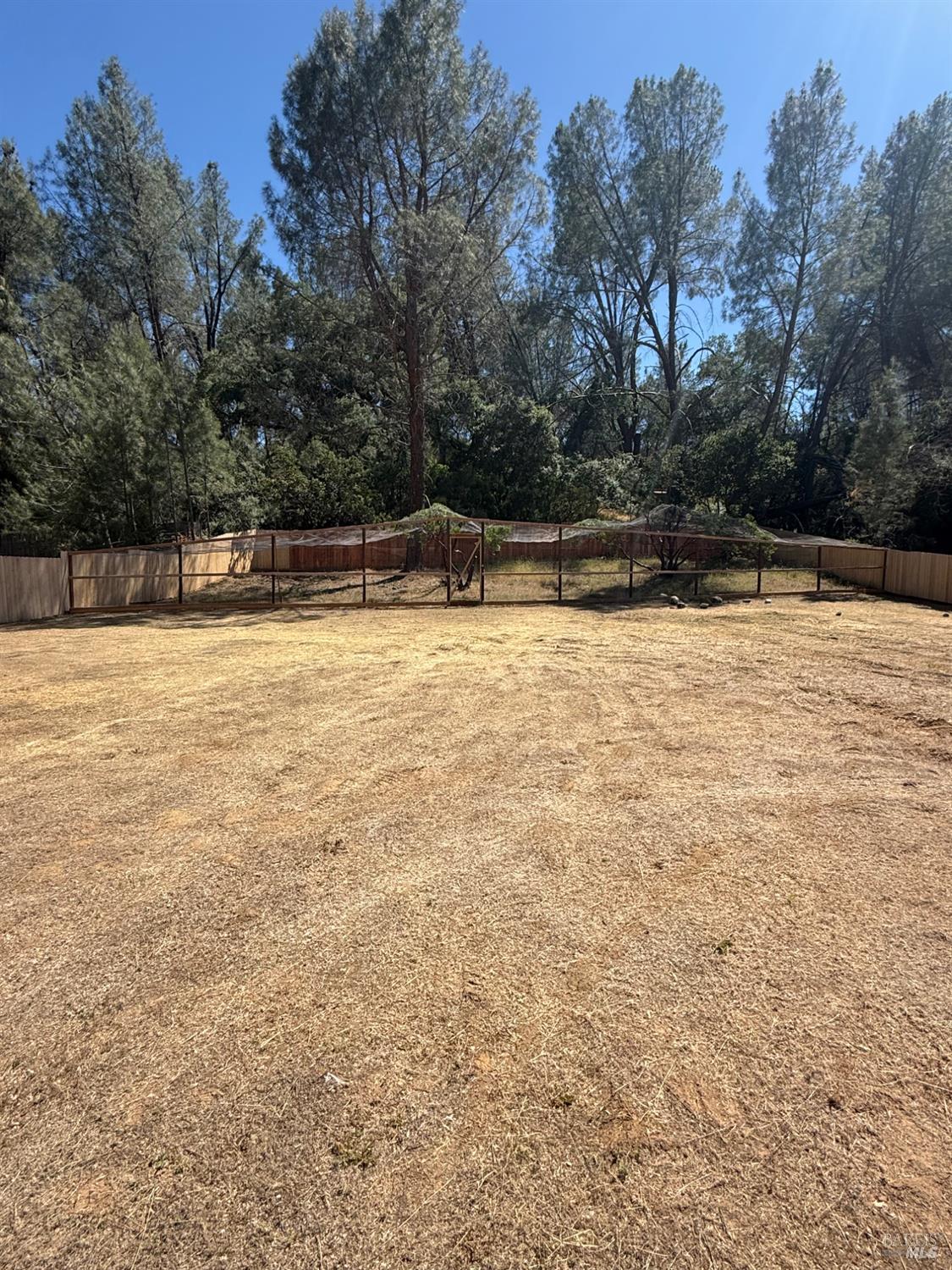 Spring Valley Road, Clearlake Oaks, California image 10