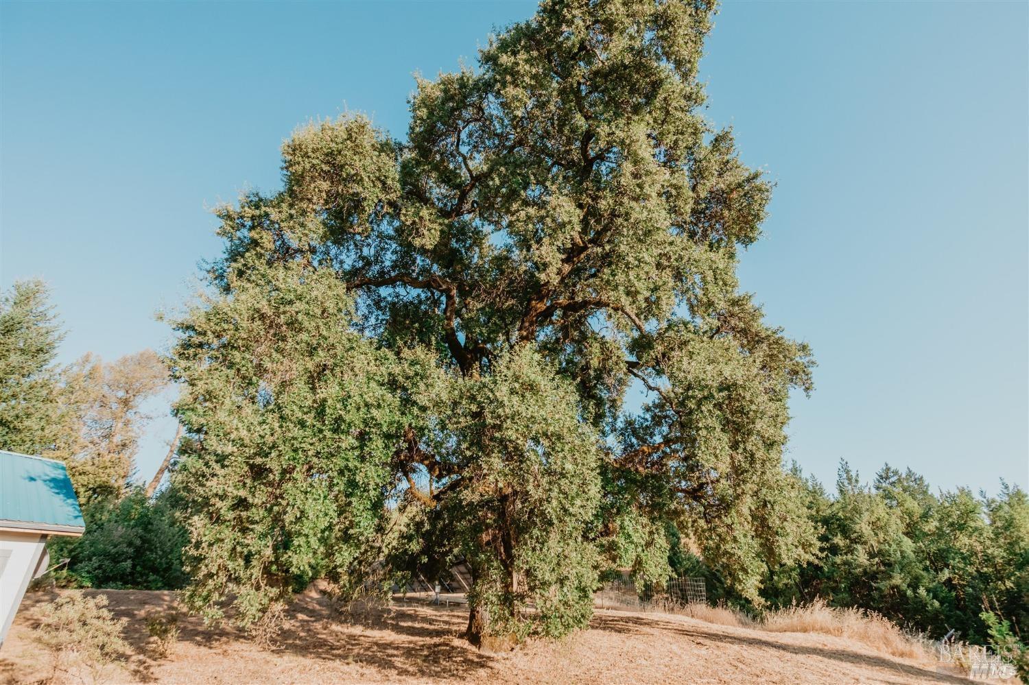 Detail Gallery Image 57 of 99 For 49100 Wickersham Rd, Geyserville,  CA 95441 - 1 Beds | 1 Baths