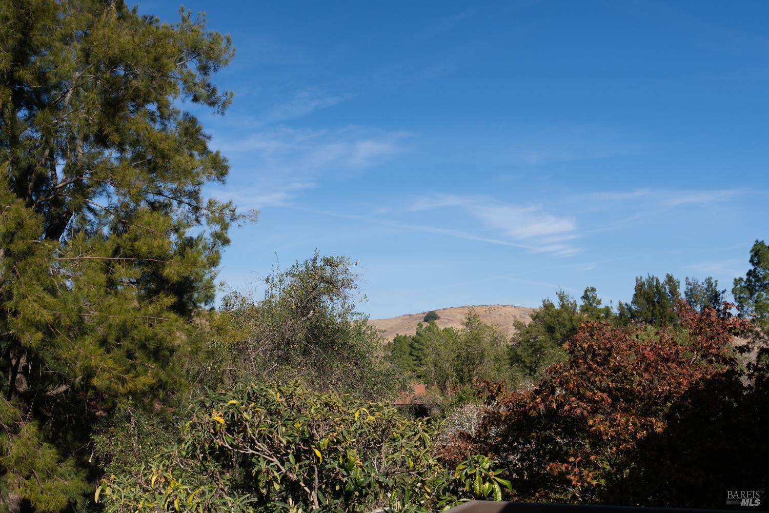 Detail Gallery Image 23 of 24 For 43 Forest Ln, San Rafael,  CA 94903 - 2 Beds | 2 Baths