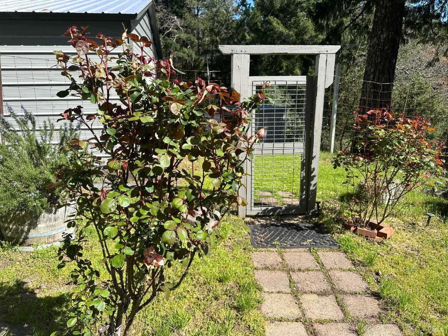 Detail Gallery Image 6 of 36 For 59145 Bell Springs Rd, Laytonville,  CA 95454 - 2 Beds | 2 Baths
