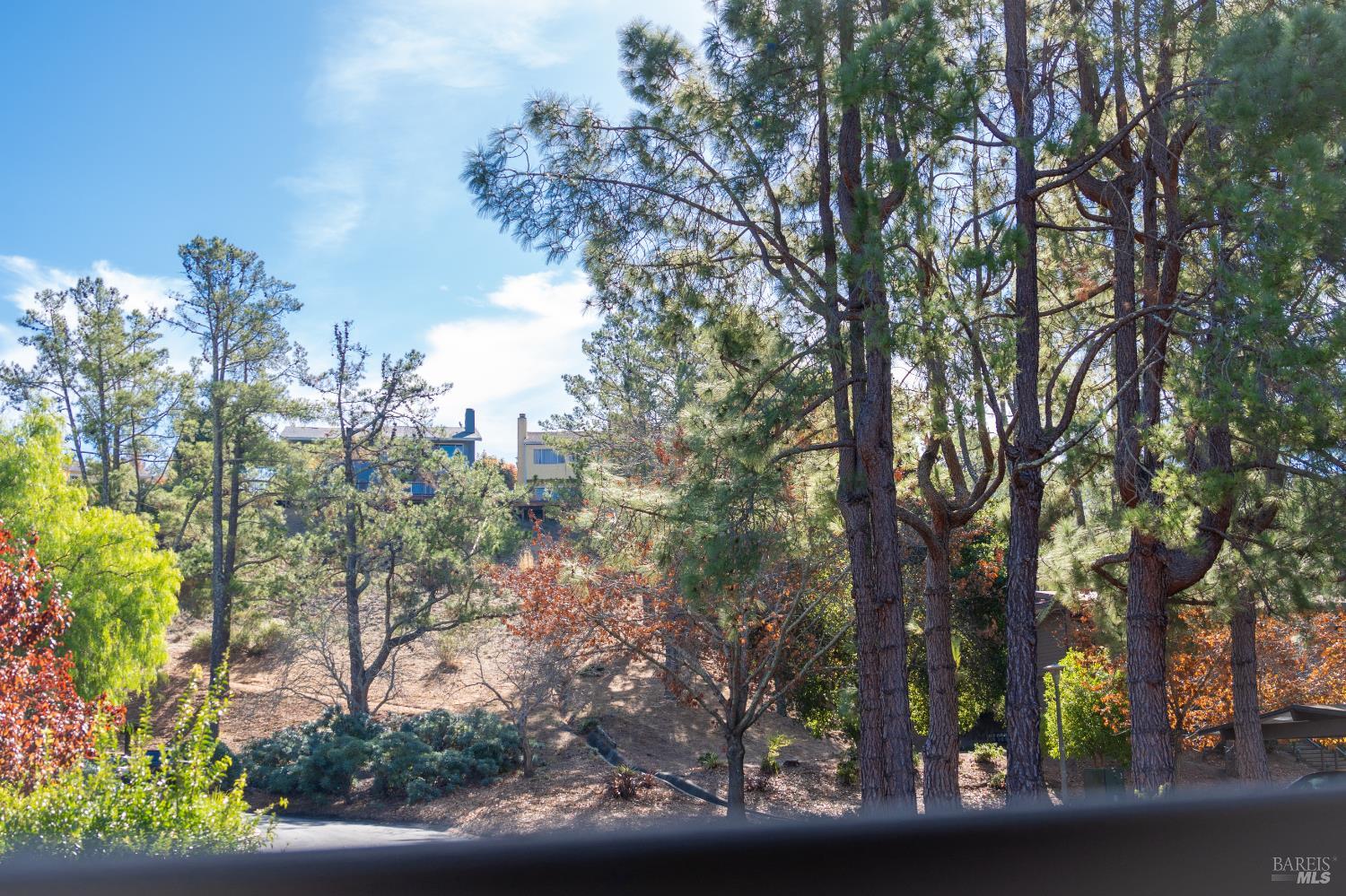 Detail Gallery Image 21 of 24 For 43 Forest Ln, San Rafael,  CA 94903 - 2 Beds | 2 Baths