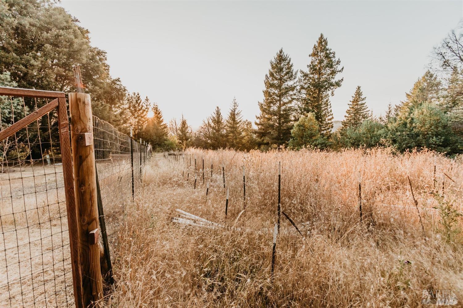 Detail Gallery Image 80 of 99 For 49100 Wickersham Rd, Geyserville,  CA 95441 - 1 Beds | 1 Baths