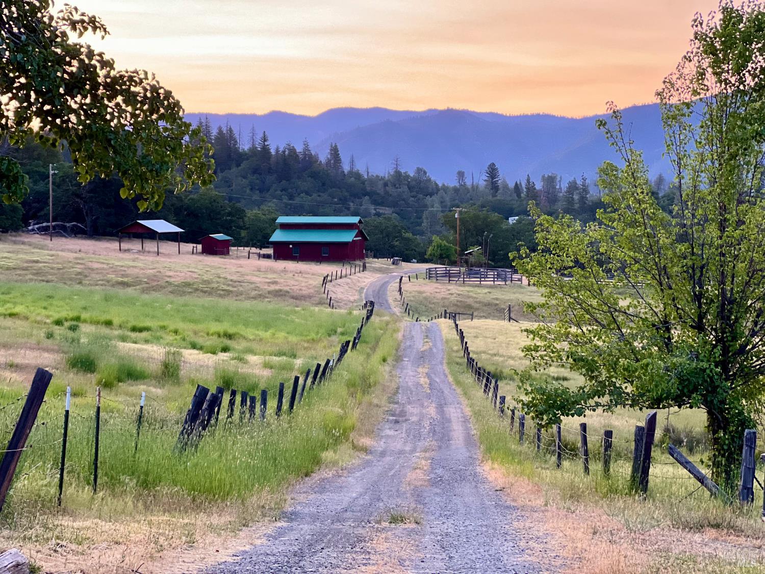 Detail Gallery Image 1 of 57 For 125 Cedar Gulch Rd, Hayfork,  CA 96041 - 2 Beds | 2 Baths