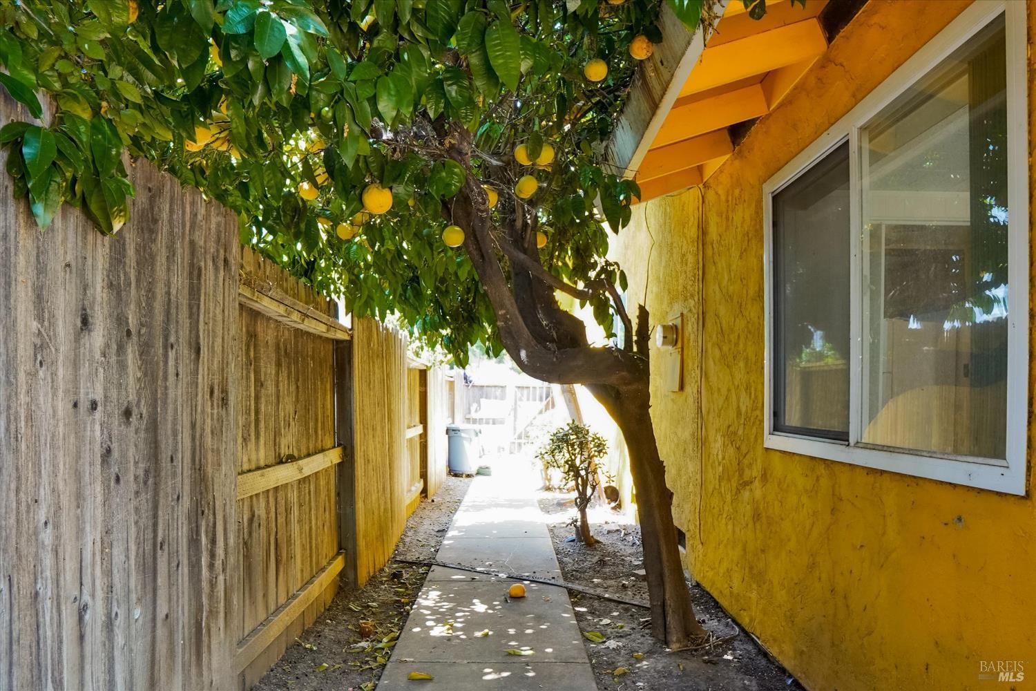 Dahlia Street, Fairfield, California image 41
