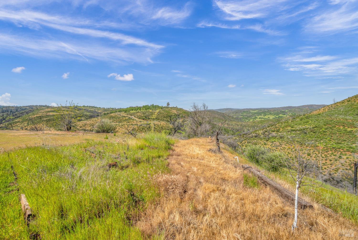Detail Gallery Image 20 of 24 For 2065 Stagecoach Canyon Rd, Pope Valley,  CA 94567 - – Beds | – Baths