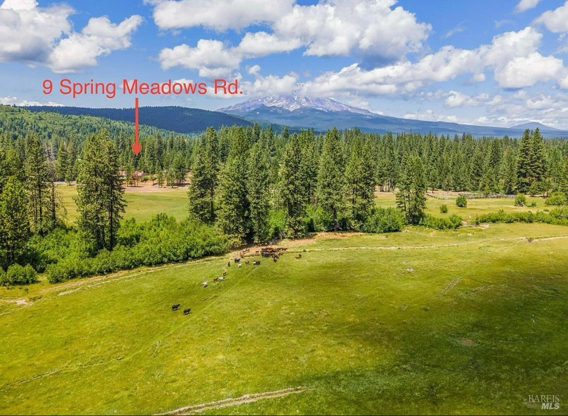 Detail Gallery Image 47 of 47 For 9 Spring Meadows Rd, Mccloud,  CA 96507 - 3 Beds | 2 Baths
