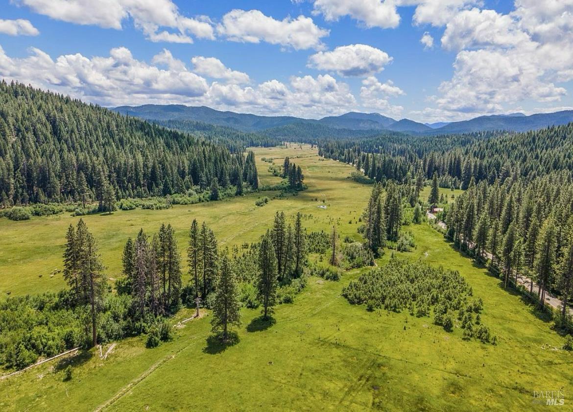 Detail Gallery Image 46 of 47 For 9 Spring Meadows Rd, Mccloud,  CA 96507 - 3 Beds | 2 Baths