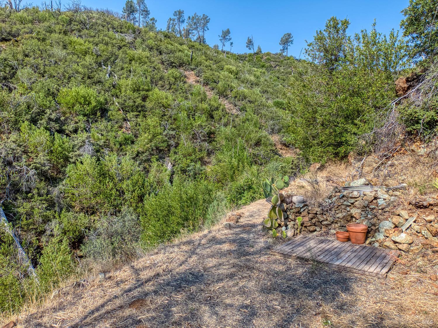 Detail Gallery Image 36 of 58 For Address Is Not Disclosed, Pope Valley,  CA 94567 - – Beds | – Baths