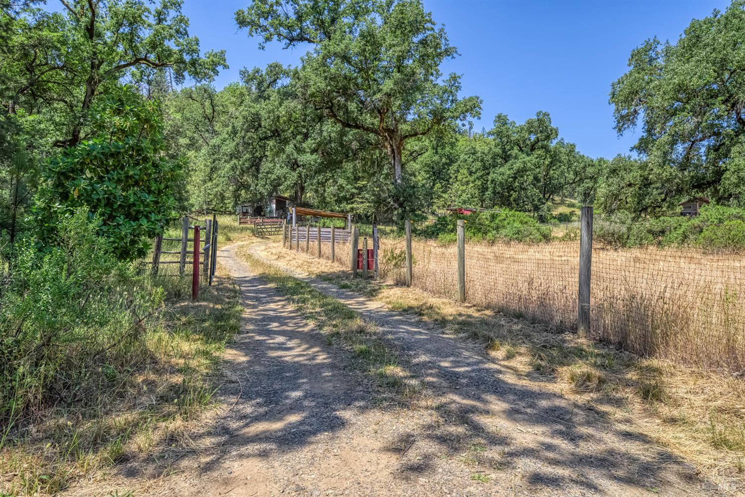 Detail Gallery Image 3 of 46 For 12790 Pine Ave, Potter Valley,  CA 95469 - 2 Beds | 1 Baths