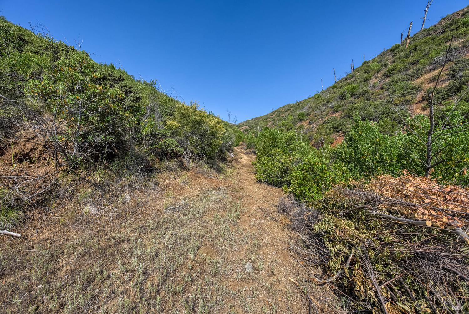 Detail Gallery Image 13 of 58 For Address Is Not Disclosed, Pope Valley,  CA 94567 - – Beds | – Baths
