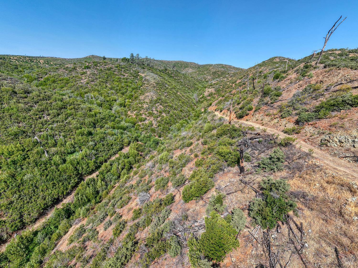 Detail Gallery Image 53 of 58 For Address Is Not Disclosed, Pope Valley,  CA 94567 - – Beds | – Baths