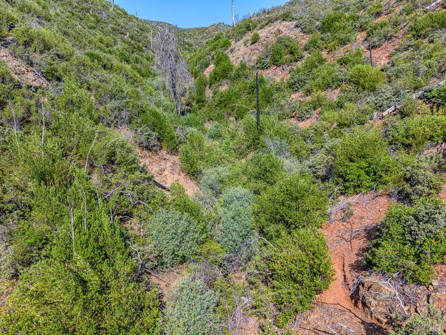 Detail Gallery Image 47 of 58 For Address Is Not Disclosed, Pope Valley,  CA 94567 - – Beds | – Baths