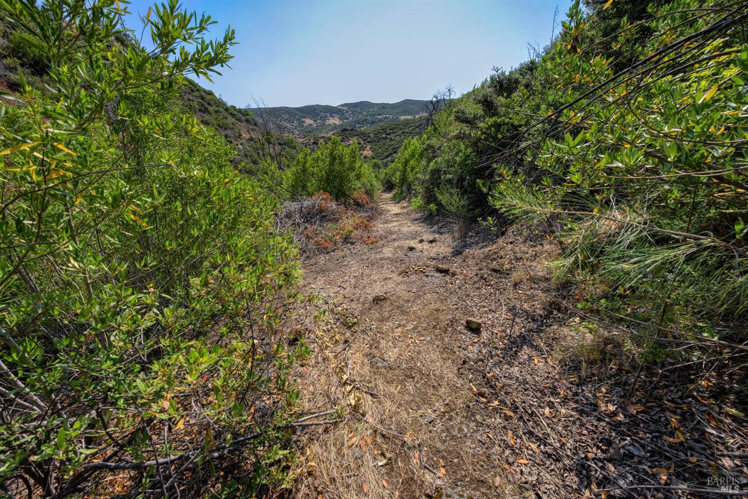 Detail Gallery Image 9 of 58 For Address Is Not Disclosed, Pope Valley,  CA 94567 - – Beds | – Baths