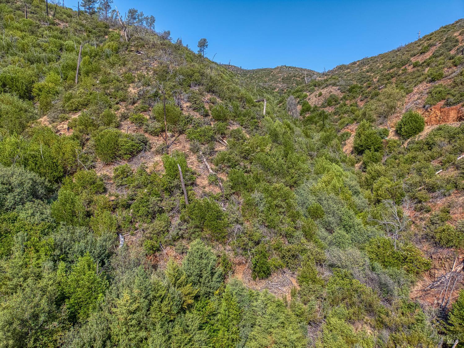 Detail Gallery Image 49 of 58 For Address Is Not Disclosed, Pope Valley,  CA 94567 - – Beds | – Baths