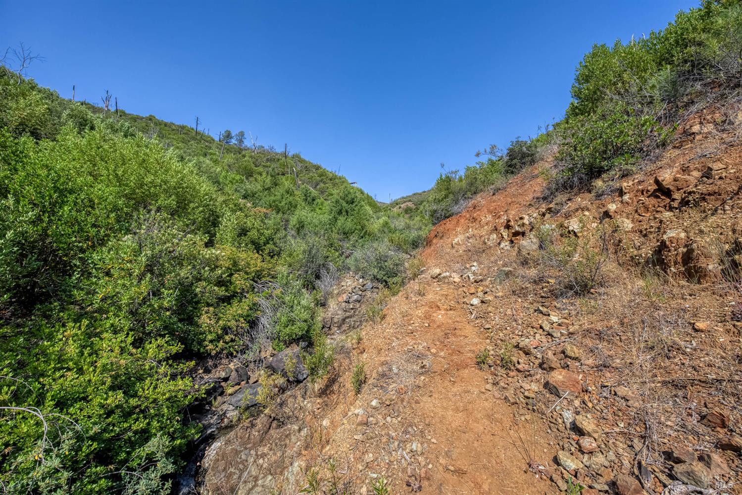 Detail Gallery Image 39 of 58 For Address Is Not Disclosed, Pope Valley,  CA 94567 - – Beds | – Baths