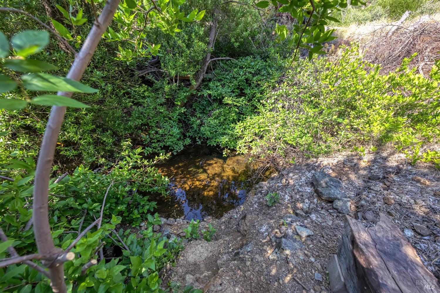 Detail Gallery Image 6 of 58 For Address Is Not Disclosed, Pope Valley,  CA 94567 - – Beds | – Baths