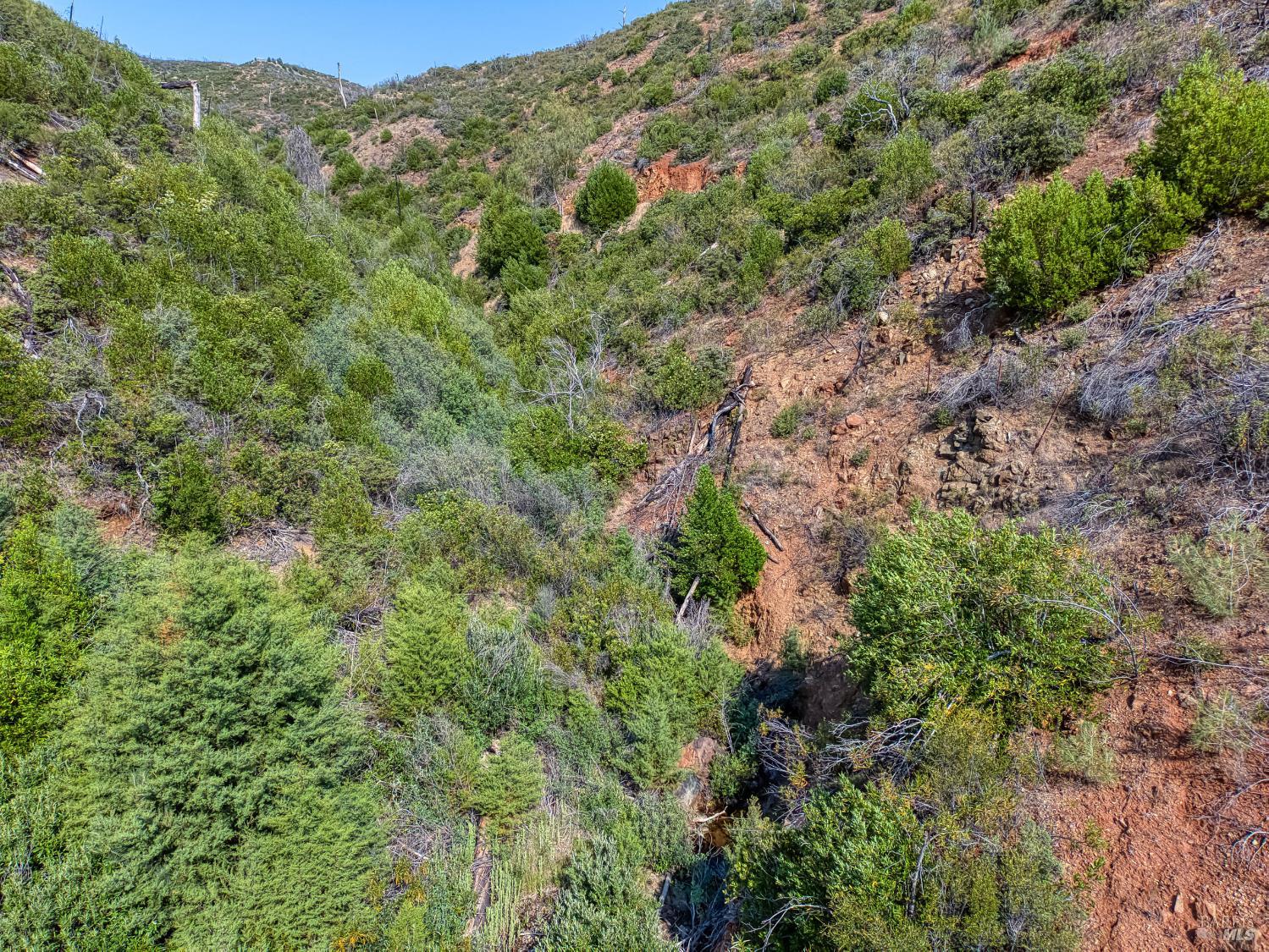 Detail Gallery Image 46 of 58 For Address Is Not Disclosed, Pope Valley,  CA 94567 - – Beds | – Baths