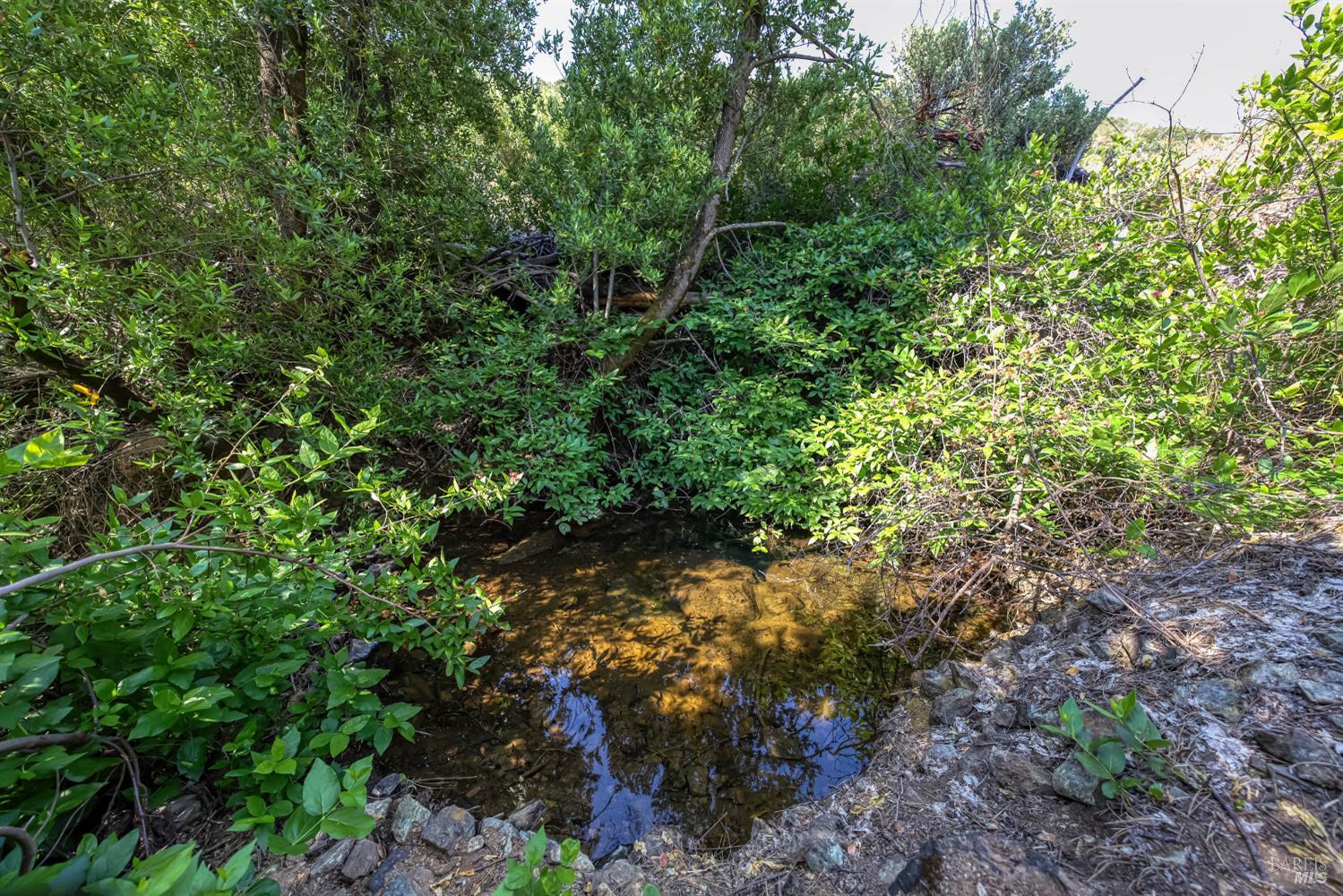 Detail Gallery Image 20 of 58 For Address Is Not Disclosed, Pope Valley,  CA 94567 - – Beds | – Baths